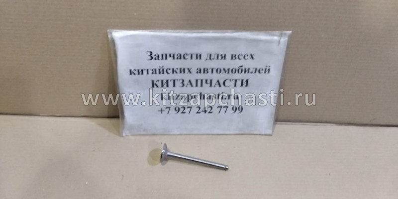 Клапан выпускной BAW Fenix 1044 Евро 2 4100QB-03-001